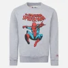 Felpa da bambino girocollo grigia con stampa Spiderman | EDIZIONE SPECIALE MARVEL