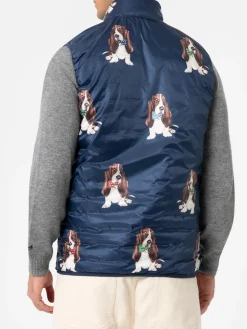 Man bluette padded vest Aspen